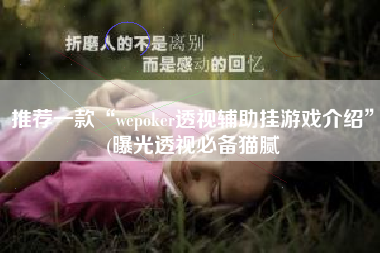 推荐一款“wepoker透视辅助挂游戏介绍”(曝光透视必备猫腻