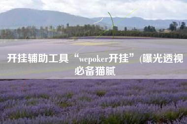 开挂辅助工具“wepoker开挂”(曝光透视必备猫腻