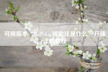 可用版本“WePoker辅助挂是什么”开挂详细教程