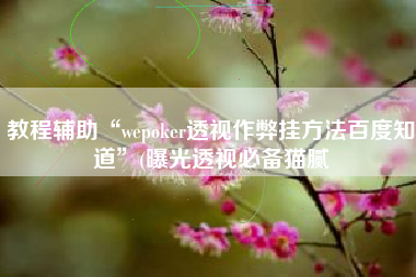 教程辅助“wepoker透视作弊挂方法百度知道”(曝光透视必备猫腻