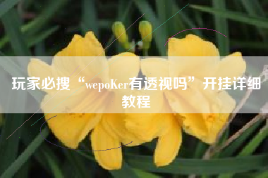 玩家必搜“wepoKer有透视吗	”开挂详细教程