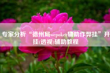 专家分析“德州局wepoker辅助作弊挂	”开挂(透视)辅助教程
