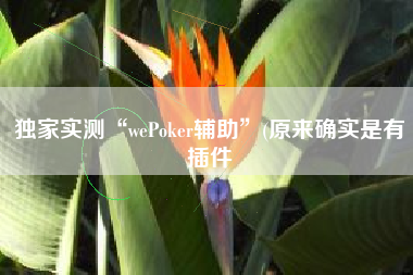 独家实测“wePoker辅助”(原来确实是有插件