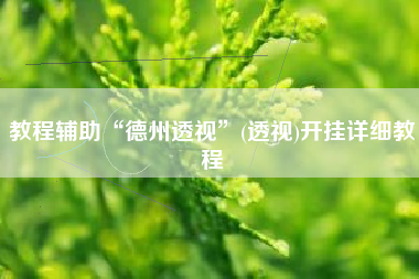 教程辅助“德州透视”(透视)开挂详细教程