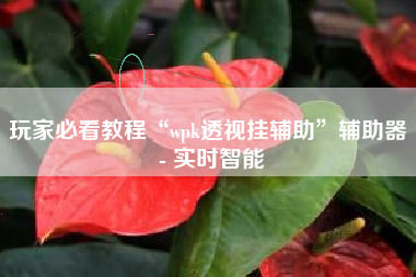 玩家必看教程“wpk透视挂辅助”辅助器 - 实时智能