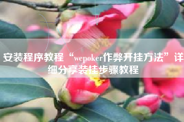 安装程序教程“wepoker作弊开挂方法”详细分享装挂步骤教程