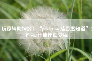 玩家辅助神器：“pokertime挂百度知道”(透视)开挂详细教程