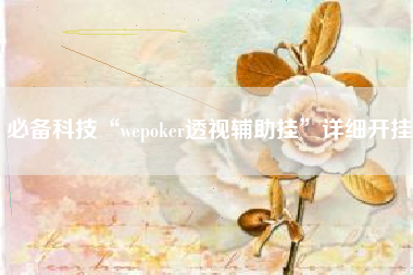 必备科技“wepoker透视辅助挂”详细开挂