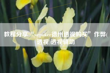 教程分享“wepoker德州透视购买”作弊(透视)透视辅助