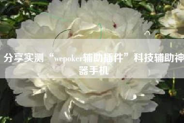 分享实测“wepoker辅助插件	”科技辅助神器手机
