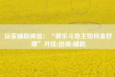 玩家辅助神器：“微乐斗地主如何拿好牌”开挂(透视)辅助