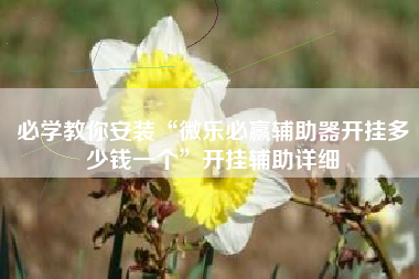 必学教你安装“微乐必赢辅助器开挂多少钱一个	”开挂辅助详细