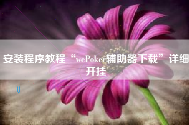 安装程序教程“wePoker辅助器下载”详细开挂
