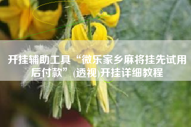 开挂辅助工具“微乐家乡麻将挂先试用后付款”(透视)开挂详细教程