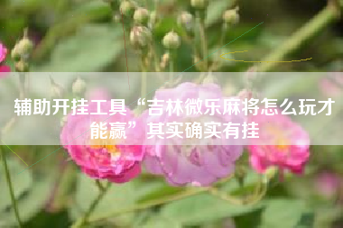 辅助开挂工具“吉林微乐麻将怎么玩才能赢”其实确实有挂