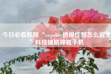 今日必看教程“wepoker透视作弊怎么避免”科技辅助神器手机