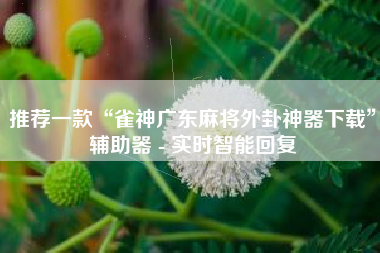 推荐一款“雀神广东麻将外卦神器下载”辅助器 - 实时智能回复