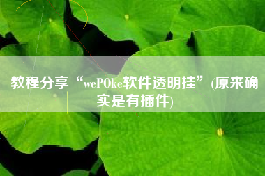 教程分享“wePOke软件透明挂”(原来确实是有插件)