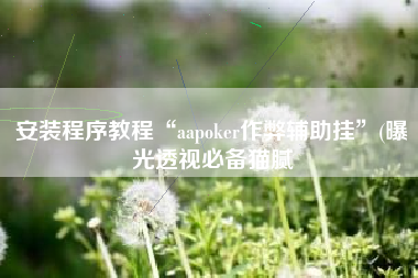安装程序教程“aapoker作弊辅助挂”(曝光透视必备猫腻