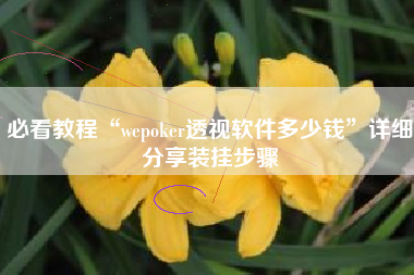 必看教程“wepoker透视软件多少钱”详细分享装挂步骤