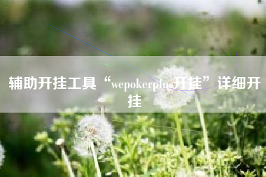 辅助开挂工具“wepokerplus开挂	”详细开挂