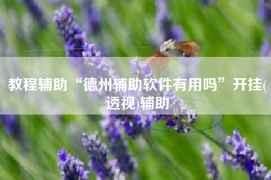 教程辅助“德州辅助软件有用吗”开挂(透视)辅助