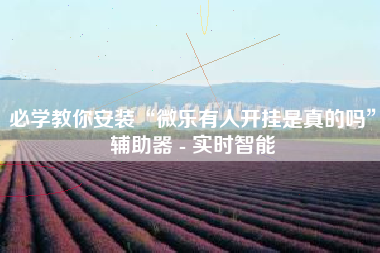 必学教你安装“微乐有人开挂是真的吗	”辅助器 - 实时智能