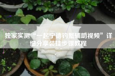 独家实测“一起宁德钓蟹辅助视频	”详细分享装挂步骤教程