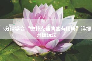 3分钟学会“微扑克辅助器有用吗	”详细开挂玩法