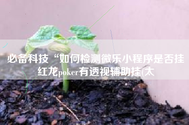 必备科技“如何检测微乐小程序是否挂红龙poker有透视辅助挂(太