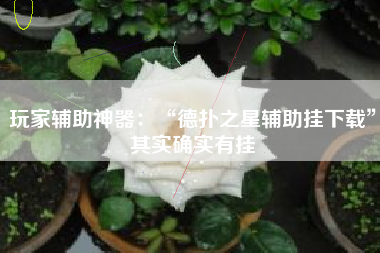 玩家辅助神器：“德扑之星辅助挂下载”其实确实有挂