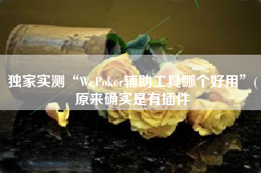 独家实测“WePoker辅助工具哪个好用”(原来确实是有插件