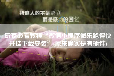 玩家必看教程“微信小程序微乐跑得快开挂下载安装”(原来确实是有插件)