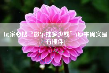 玩家必搜“微乐挂多少钱”(原来确实是有插件)