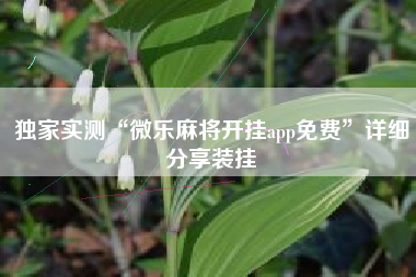 独家实测“微乐麻将开挂app免费”详细分享装挂