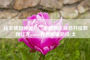 玩家辅助神器：“手机微乐麻将开挂教程红龙poker有透视辅助挂(太