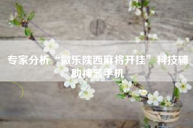 专家分析“微乐陕西麻将开挂”科技辅助神器手机