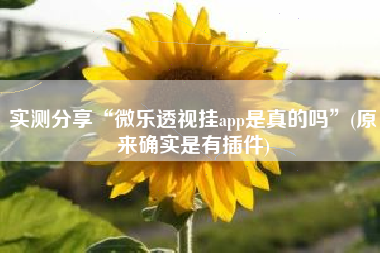 实测分享“微乐透视挂app是真的吗”(原来确实是有插件)