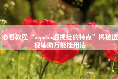 必看教程“wepoker透视挂的特点”揭秘透视辅助万能挂用法