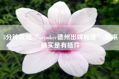 3分钟教程“wepoker德州出牌规律	”(原来确实是有插件