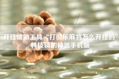 开挂辅助工具“打微乐麻将怎么开挂的”科技辅助神器手机版