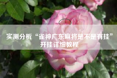 实测分析“雀神广东麻将是不是有挂”开挂详细教程