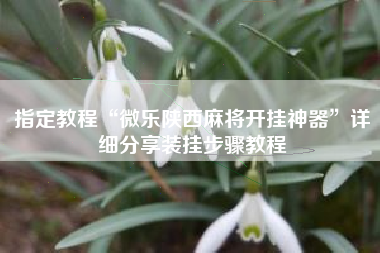 指定教程“微乐陕西麻将开挂神器	”详细分享装挂步骤教程