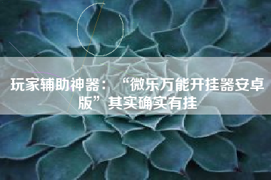 玩家辅助神器：“微乐万能开挂器安卓版”其实确实有挂