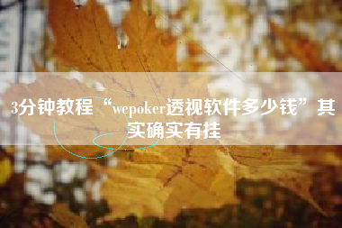 3分钟教程“wepoker透视软件多少钱	”其实确实有挂