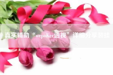 真实辅助“wepoKer透视”详细分享装挂