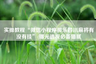 实操教程“微信小程序微乐四川麻将有没有挂”(曝光透视必备猫腻