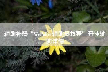 辅助神器“WePoker辅助器教程	”开挂辅助详细