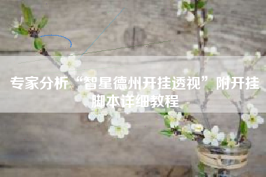 专家分析“智星德州开挂透视”附开挂脚本详细教程