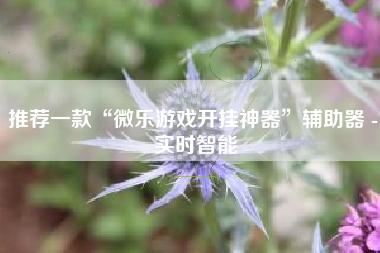 推荐一款“微乐游戏开挂神器	”辅助器 - 实时智能